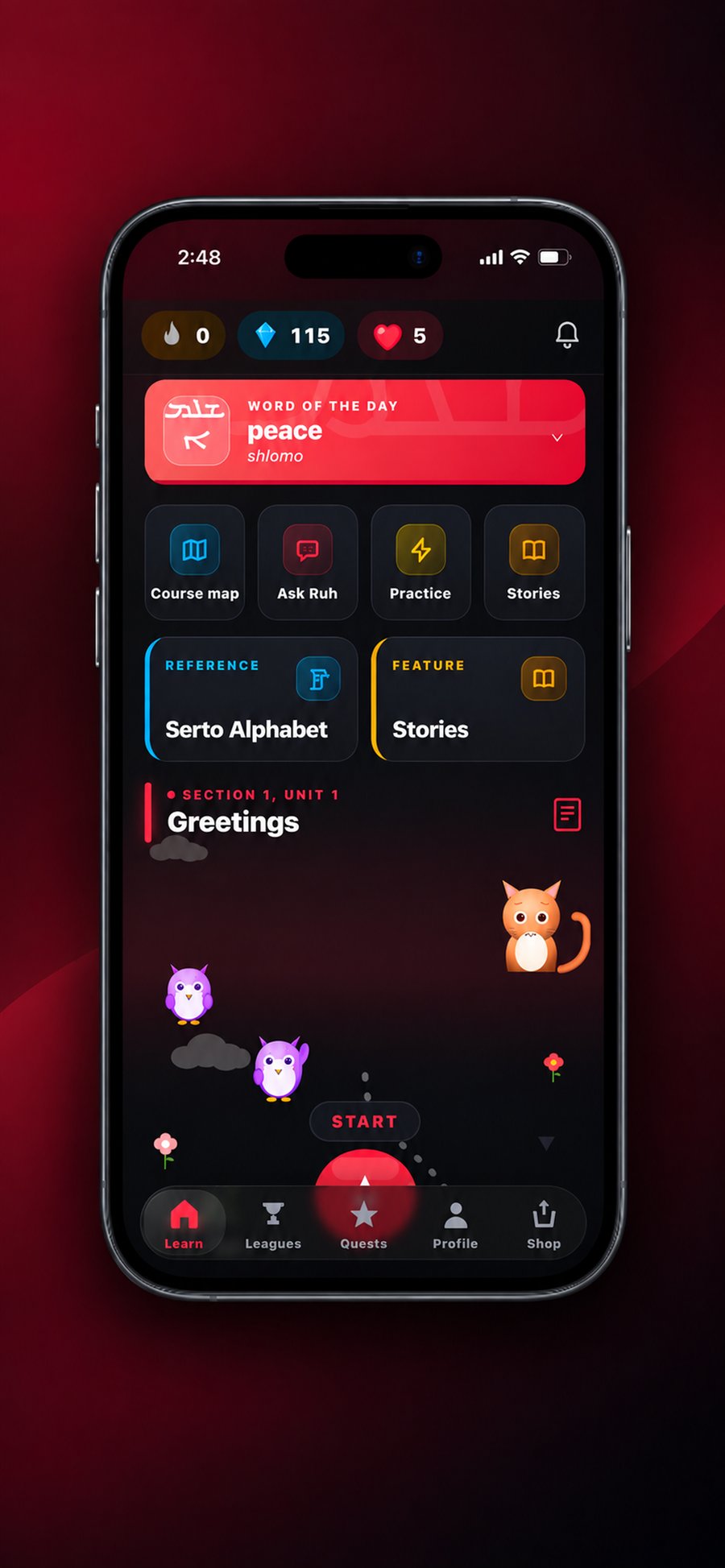 SuryoyoLearn learning path
